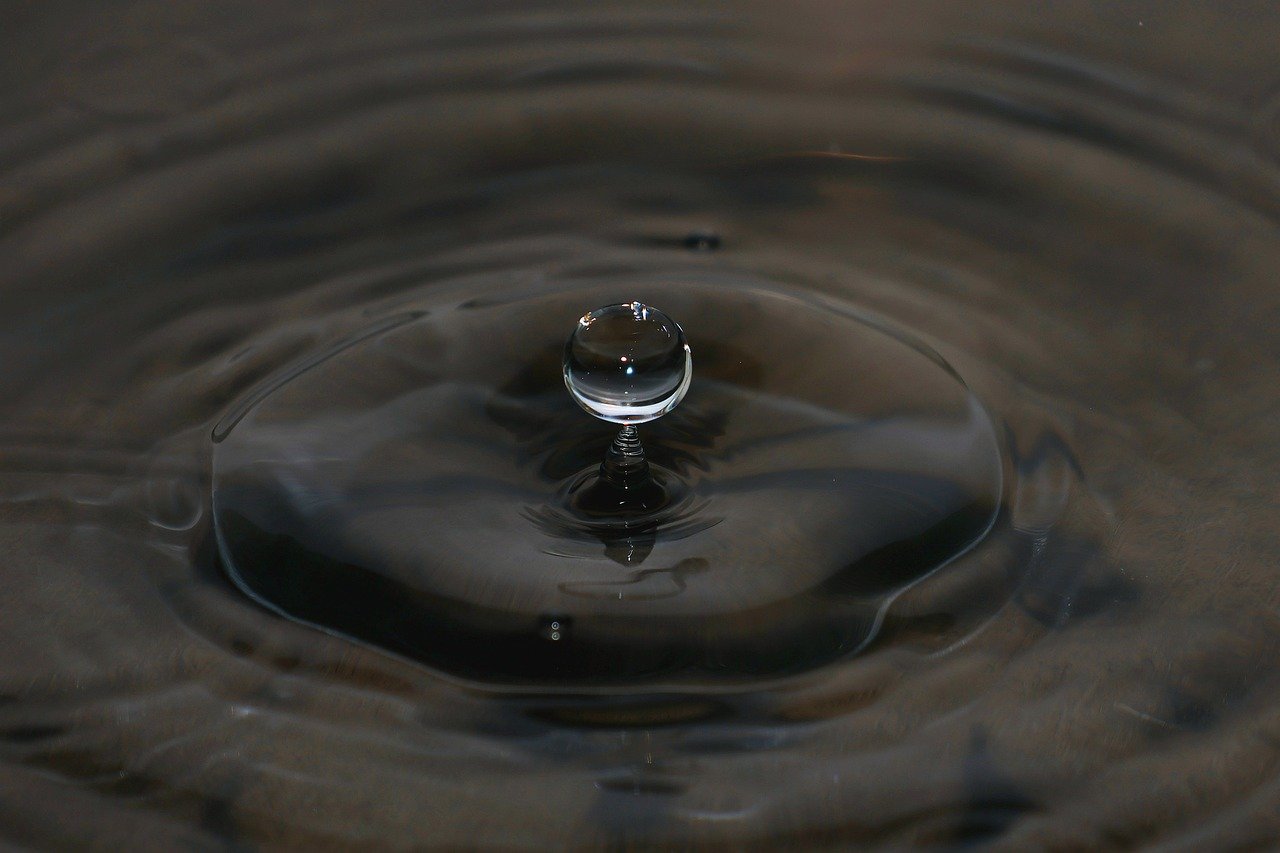 A hand holding a growing plant, symbolizing investment growth.